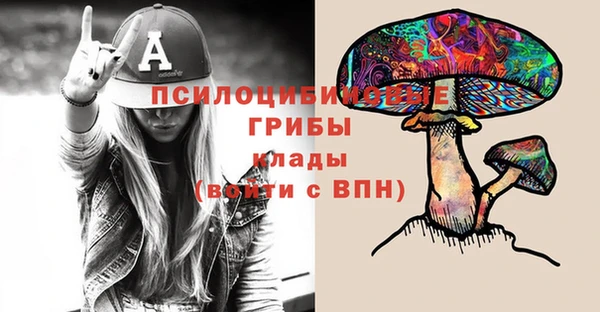 амф Зеленодольск