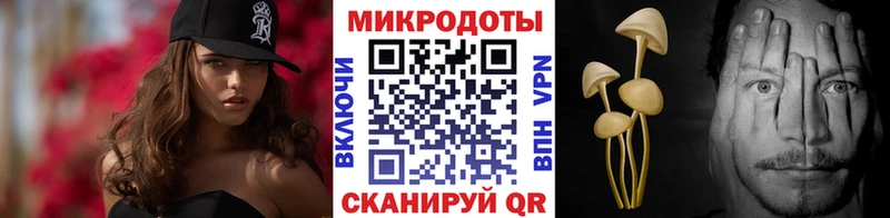 Галлюциногенные грибы Psilocybine cubensis Пустошка